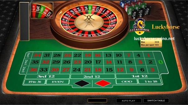 kaya iniiwan nito ang susunod na pinakamahusay na opsyon, European roulette